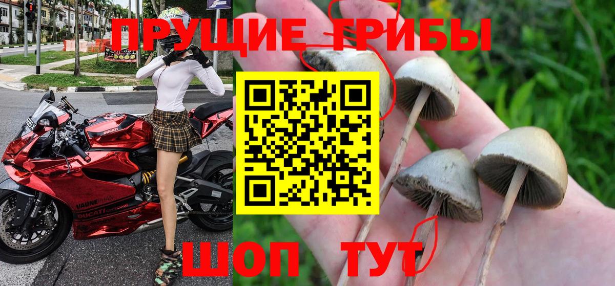 Галлюциногенные грибы Cubensis Острогожск